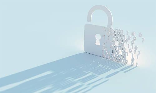 Managed Security Services (MSS) Managed Security Services (MSS)