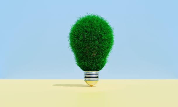 COP 26 IMG