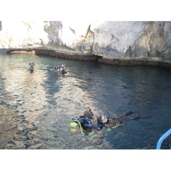 Gerona acoge una actividad de buceo adaptado para personas con discapacidad Gerona acoge una actividad de buceo adaptado para personas con discapacidad