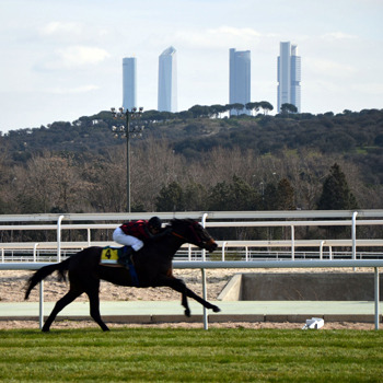 Prosegur renueva su acuerdo con el Hipódromo de Madrid Prosegur renueva su acuerdo con el Hipódromo de Madrid