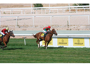 El Hipódromo de la Zarzuela vuelve a confiar en Prosegur para llevar a cabo el dispositivo de seguridad de sus instalaciones El Hipódromo de la Zarzuela vuelve a confiar en Prosegur para llevar a cabo el dispositivo de seguridad de sus instalaciones